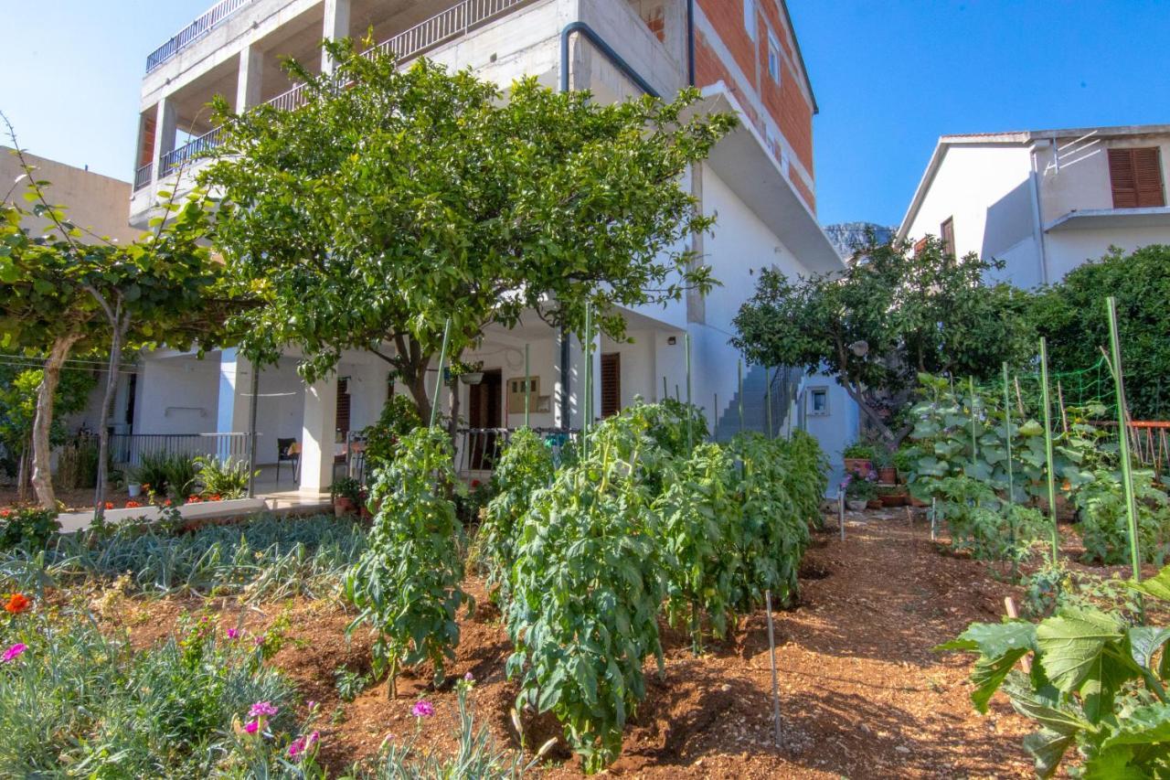 Apartments Latkovic Zaostrog Exterior photo